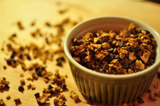 Homemade Pumpkin Spice and Cocoa Granola, with just a few simple ingredients