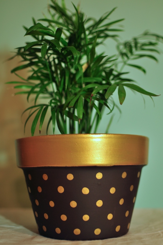 Polka dotted planter