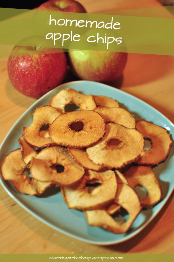Homemade Apple Chips --- The perfect sweet and healthy snack